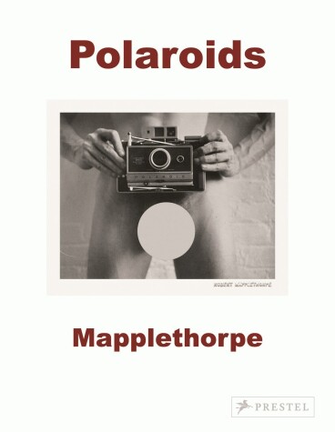 Book cover for Robert Mapplethorpe