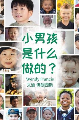 Book cover for What are little boys made of? (Chinese Language Edition)