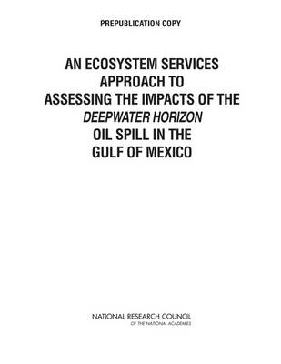 Book cover for An Ecosystem Services Approach to Assessing the Impacts of the Deepwater Horizon Oil Spill in the Gulf of Mexico