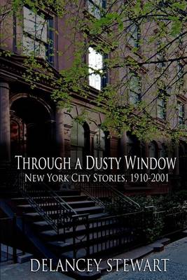 Book cover for Through a Dusty Window