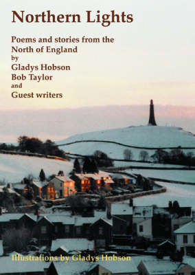 Book cover for Northern Lights