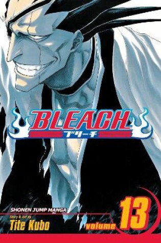 Cover of Bleach, Vol. 13