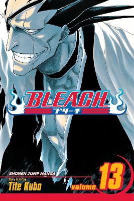 Book cover for Bleach, Vol. 13