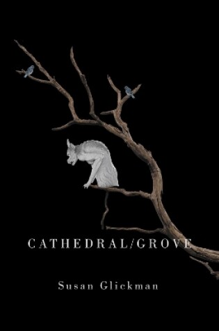 Cover of Cathedral/Grove
