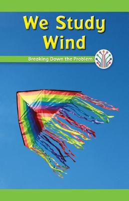 Book cover for We Study Wind