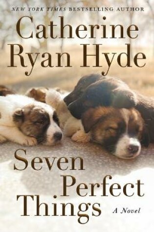 Cover of Seven Perfect Things