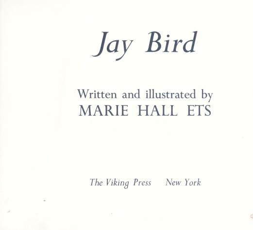 Book cover for Jay Bird