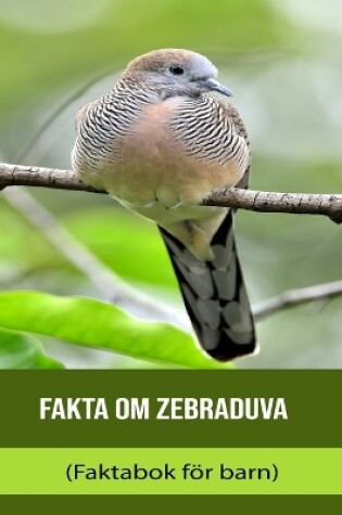 Cover of Fakta om Zebraduva (Faktabok för barn)