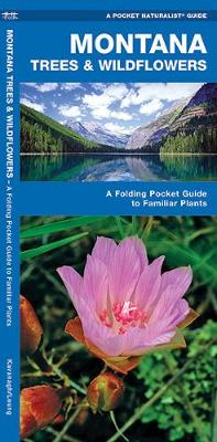 Cover of Montana Trees & Wildflowers
