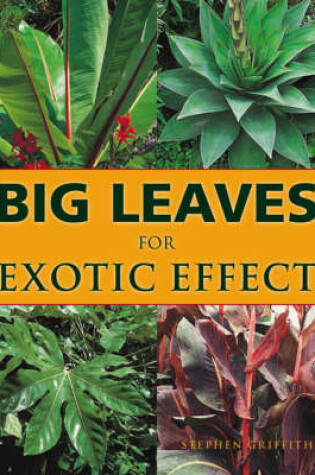 Cover of Big Leaves for Exotic Effect