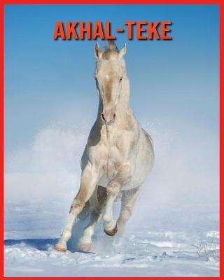 Book cover for Akhal-Teke