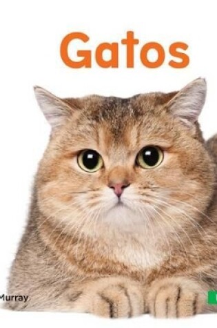 Cover of Gatos (Cats) (Spanish Version)