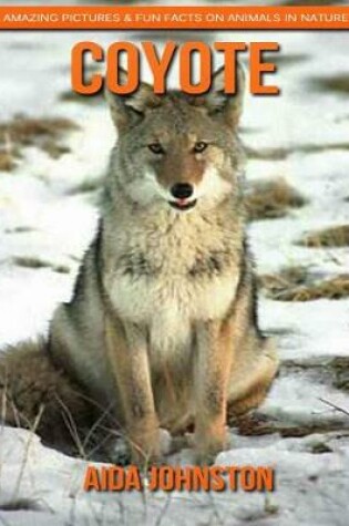 Cover of Coyote