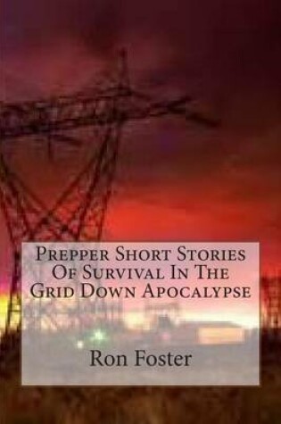 Cover of Prepper Short Stories Of Survival In The Grid Down Apocalypse