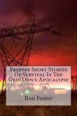 Book cover for Prepper Short Stories Of Survival In The Grid Down Apocalypse