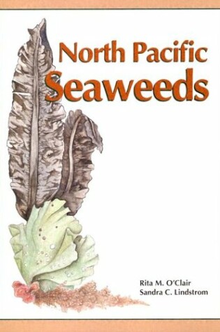 Cover of North Pacific Seaweeds