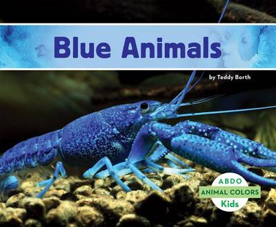 Book cover for Blue Animals