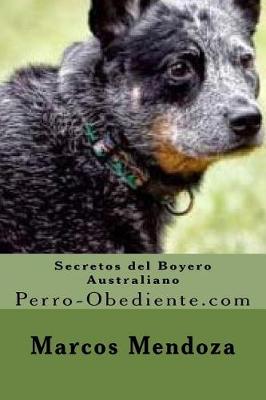 Book cover for Secretos del Boyero Australiano