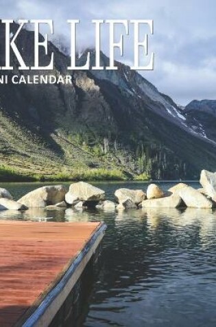 Cover of Lake Life