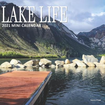 Book cover for Lake Life