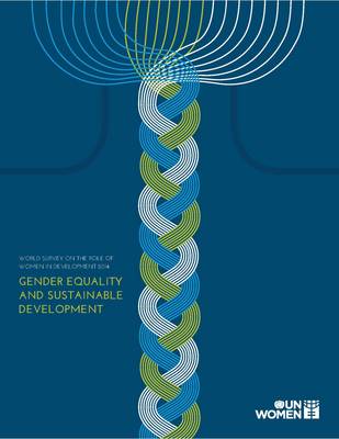 Cover of World survey on the role of women in development 2014