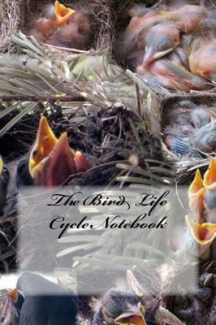 Cover of The Bird Life Cycle Notebook