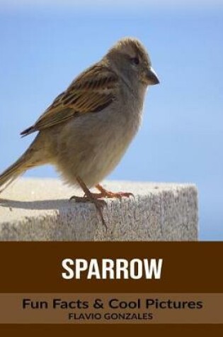 Cover of Sparrow