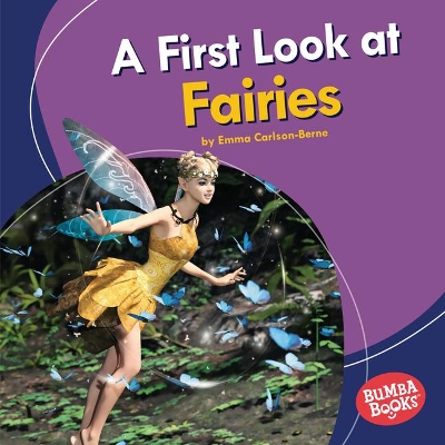 Book cover for A First Look at Fairies