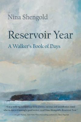 Book cover for Reservoir Year