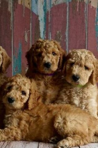 Cover of Look at the Sweet Goldendoodle Puppy Dogs Pet Journal