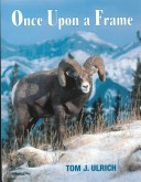 Book cover for Once Upon a Frame