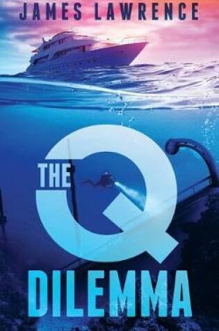Cover of The Q Dilemma
