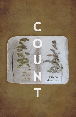 Book cover for Count
