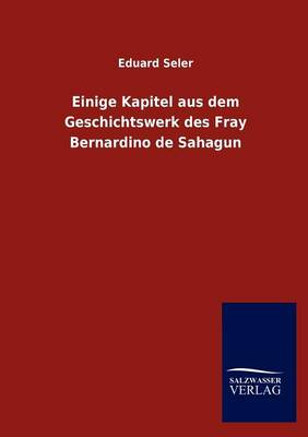 Book cover for Einige Kapitel aus dem Geschichtswerk des Fray Bernardino de Sahagun