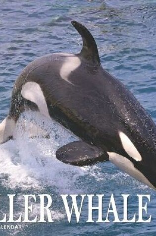 Cover of Killer Whale