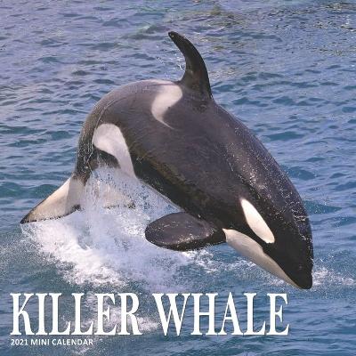 Book cover for Killer Whale