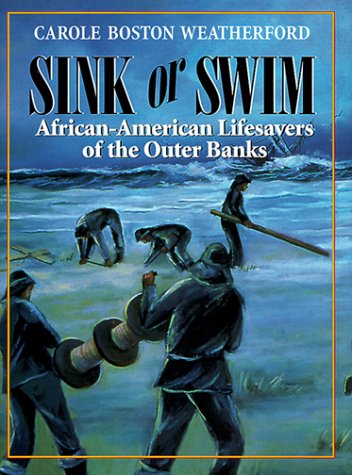 Book cover for Sink or Swim