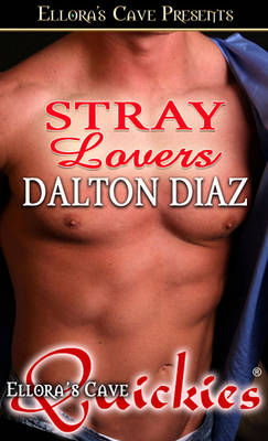 Book cover for Stray Lovers