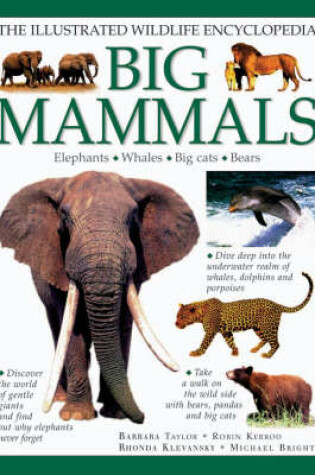 Cover of Big Mammals