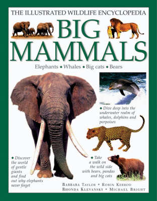 Cover of Big Mammals