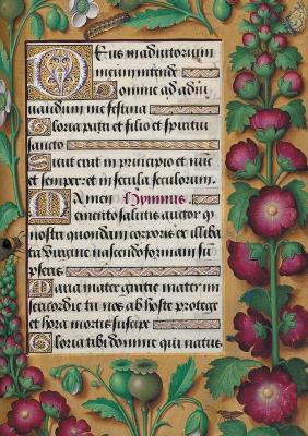 Cover of Carnet Blanc, Heures Anne de Bretagne, Roses