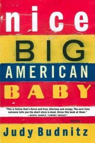 Cover of Nice Big American Baby