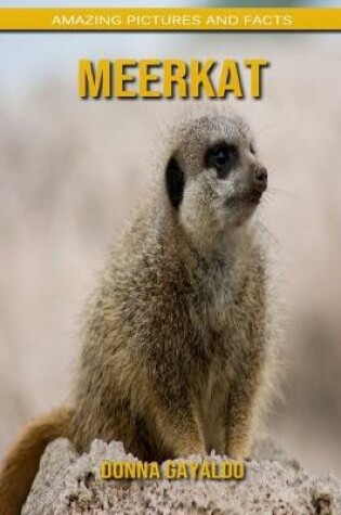 Cover of Meerkat