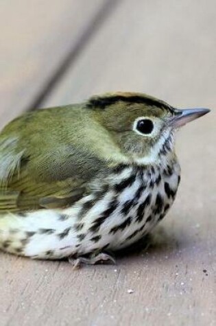 Cover of Ovenbird (Seiurus Aurocapillus) Bird Journal