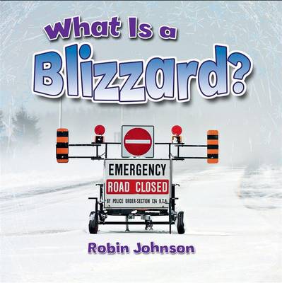 Book cover for What Is a Blizzard?