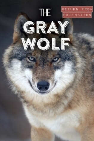 Cover of The Gray Wolf