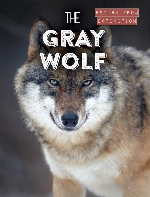 Cover of The Gray Wolf