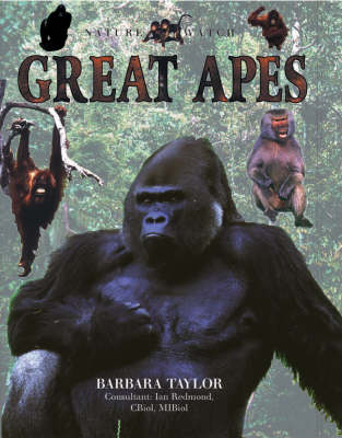 Book cover for Great Apes