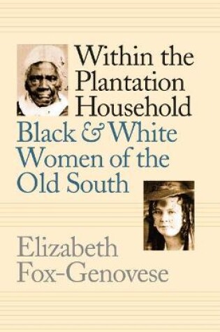 Cover of Within the Plantation Household