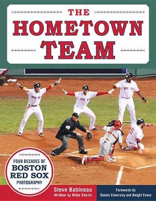 Book cover for The Hometown Team